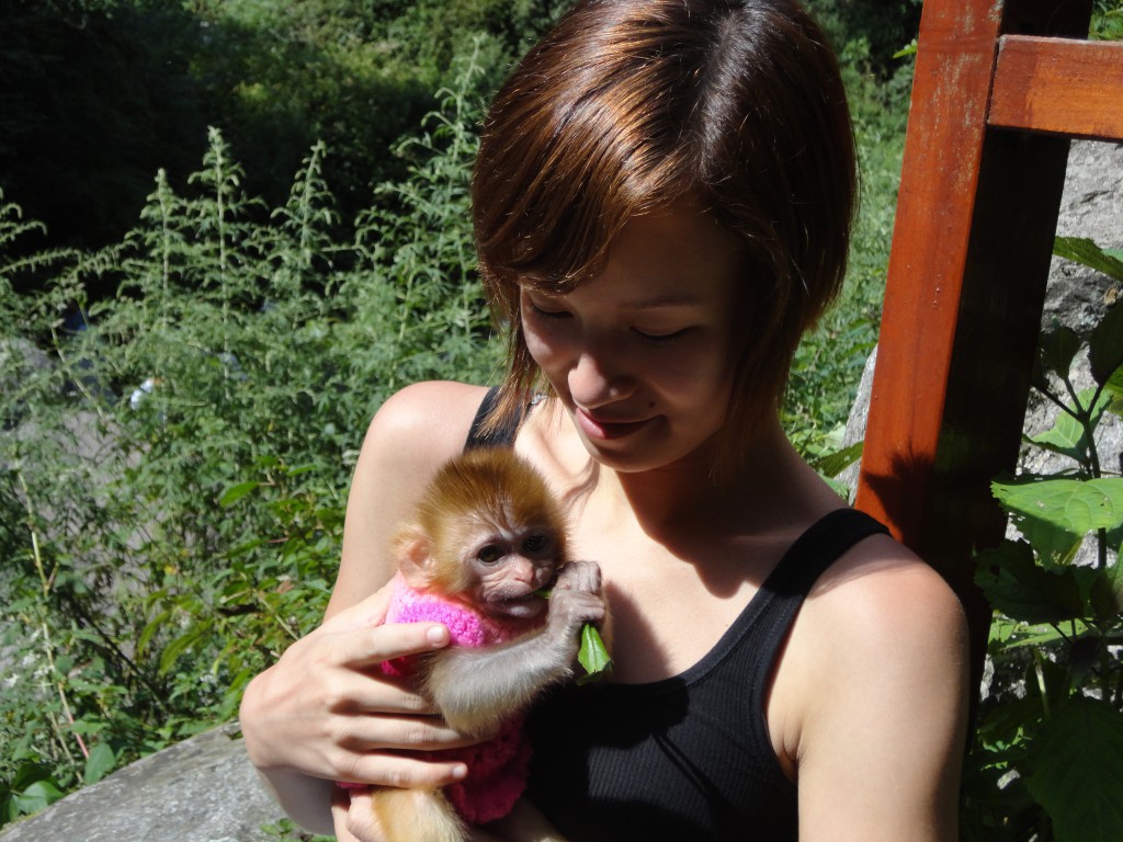 Monkey