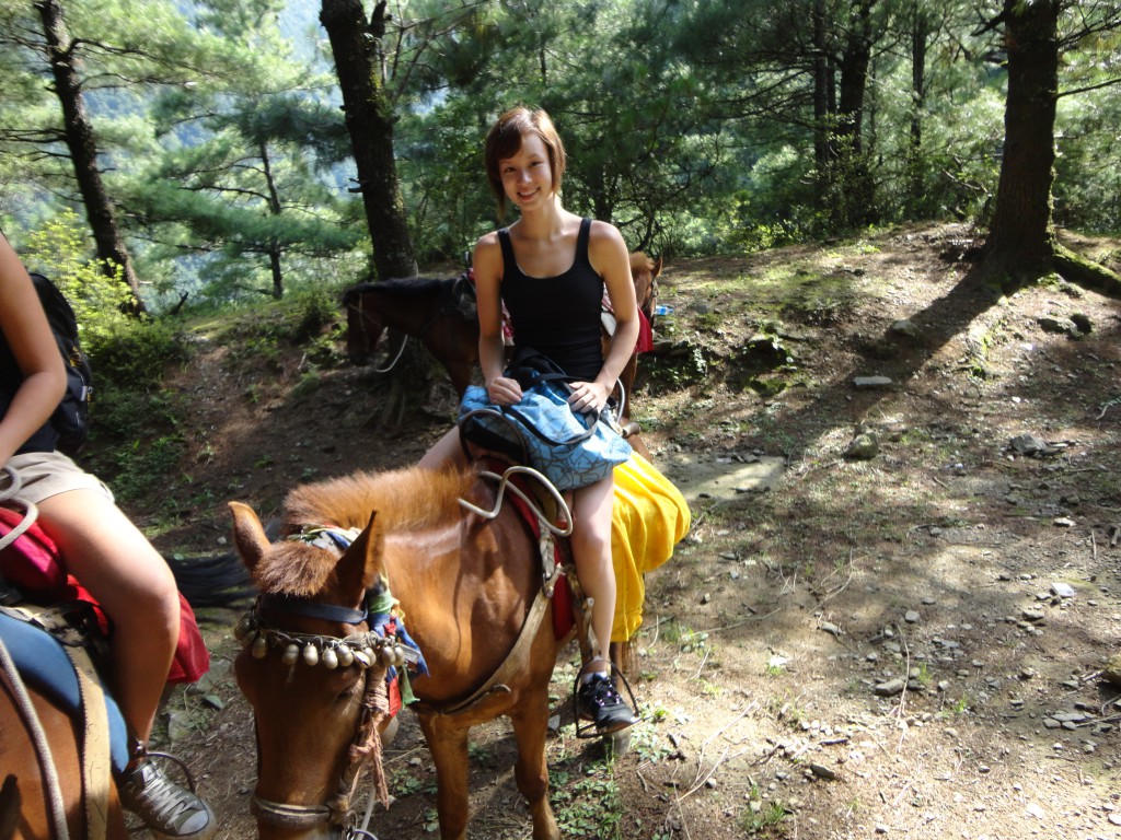 Horse Ride