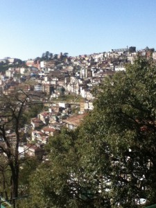 photo (11)