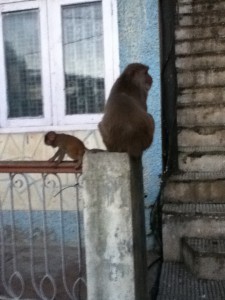 photo-13