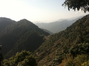 photo (19)