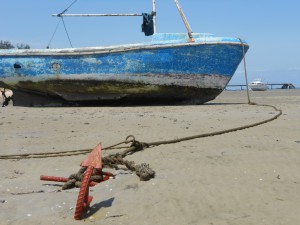 Durban and MSC Cruise to Madagascar and Mozambique 071