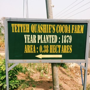 Ghana's first cocoa farm