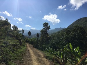 A sneak peak of the (literally) breathtaking walk/hike up to the community of Viello