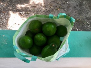 A gift of 15 avocados- one of my fav foods- that I received one afternoon! The joys of living in Haiti during avocado season! 