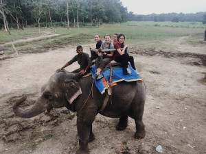 Elephant ride !