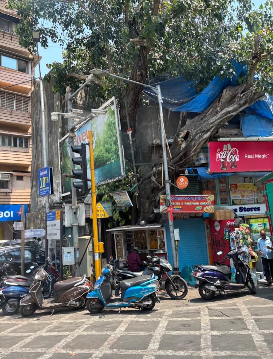 My Summer Before the Move