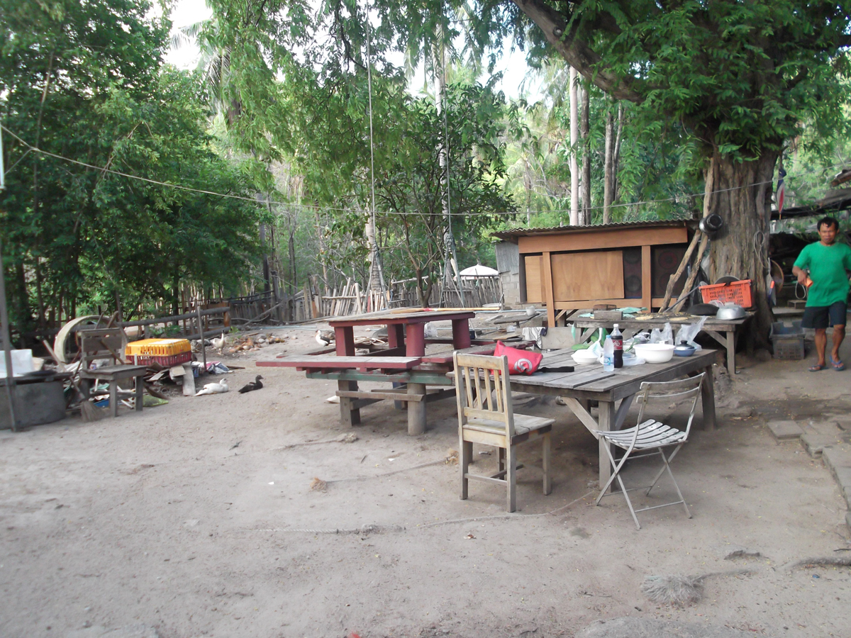 Wonder: In all its forms…