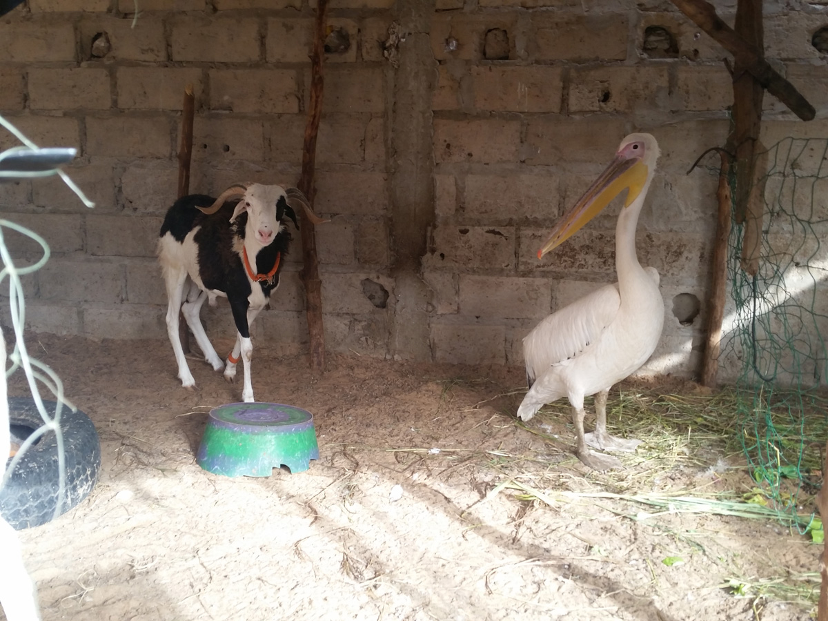 Ma Famille d’accueil/My Host Family