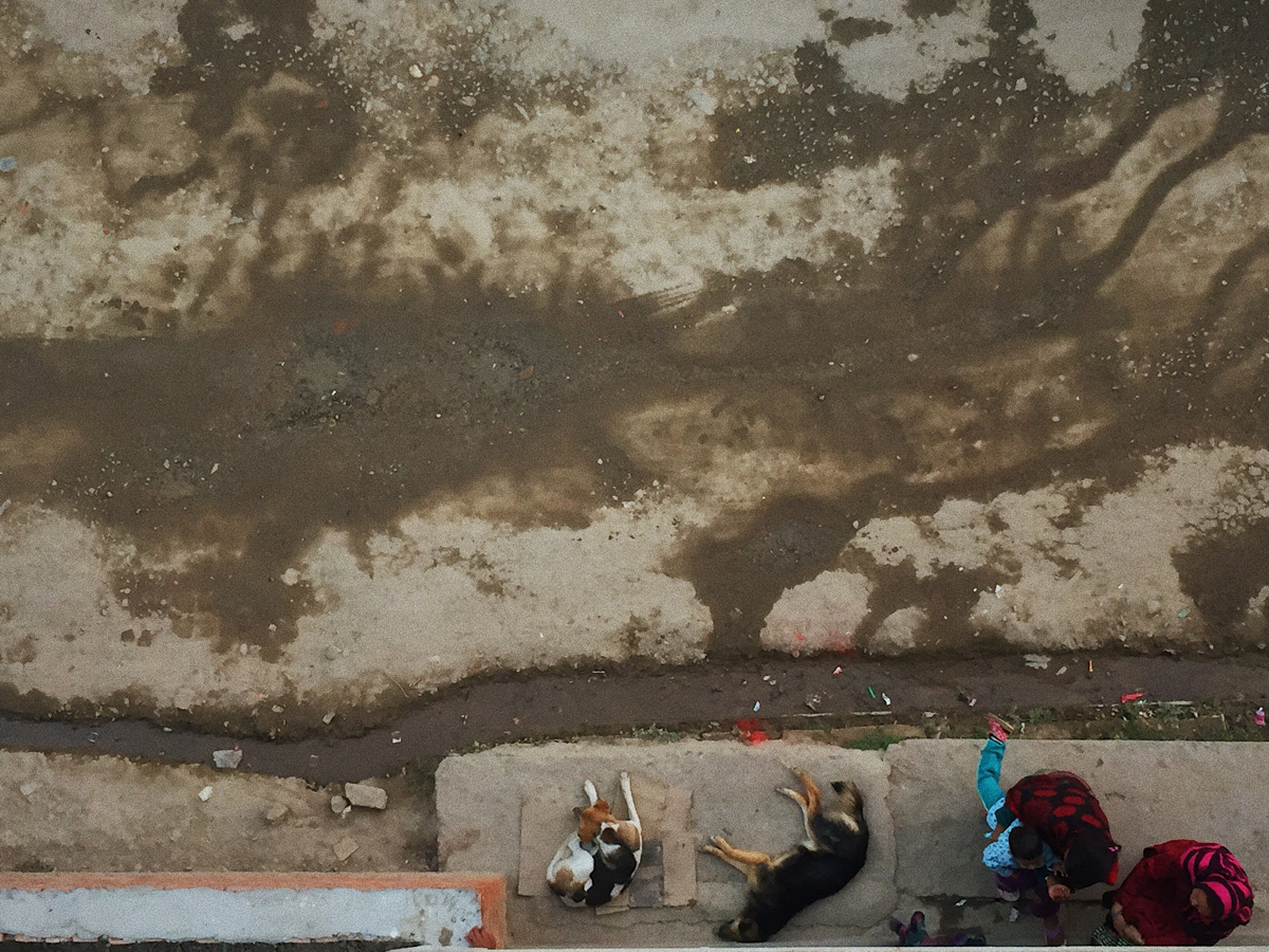 Week Seven and Eight |  हप्ता सात र आठ