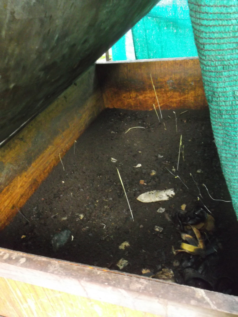 Composting presentation