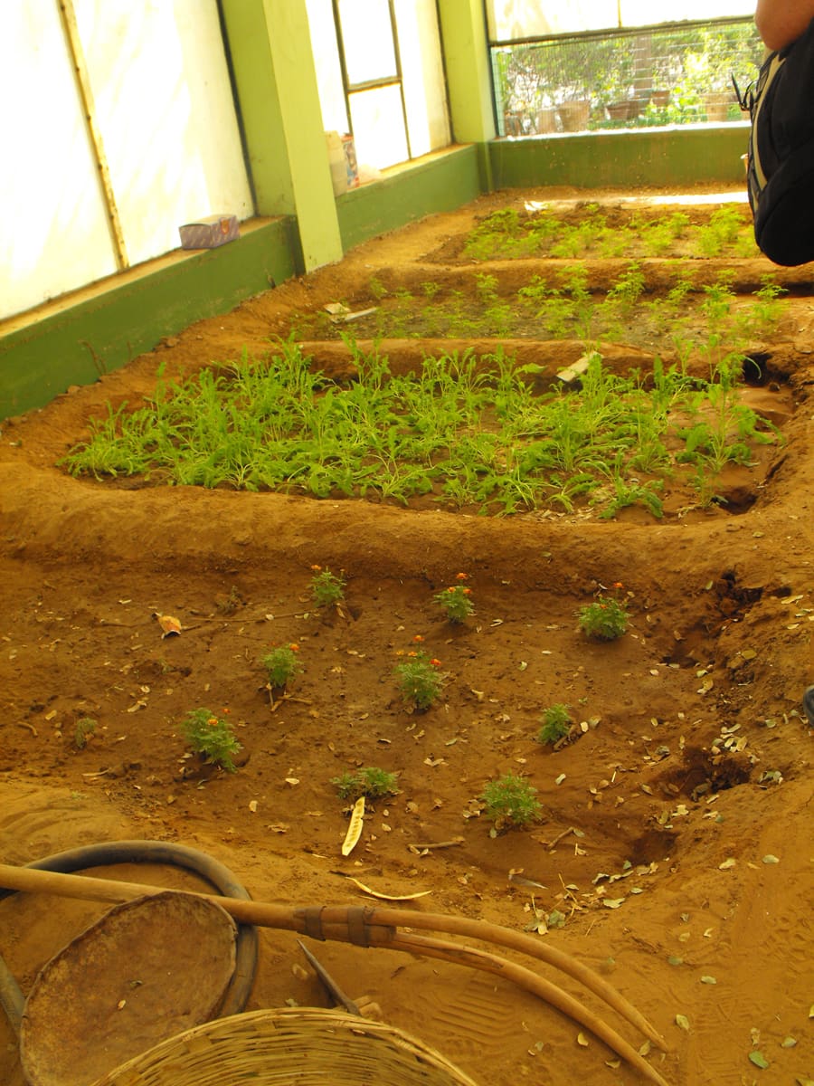 Building a Greenhouse with “Experts”