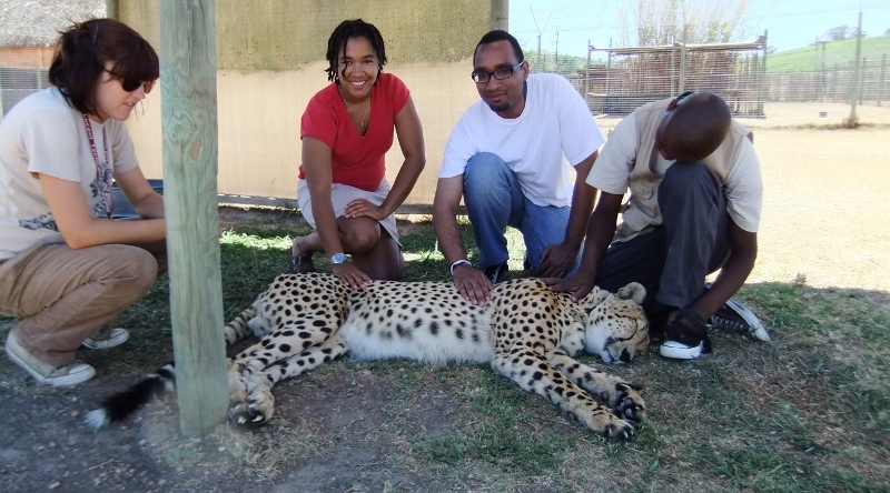 Sandboarding and Cheetah Petting