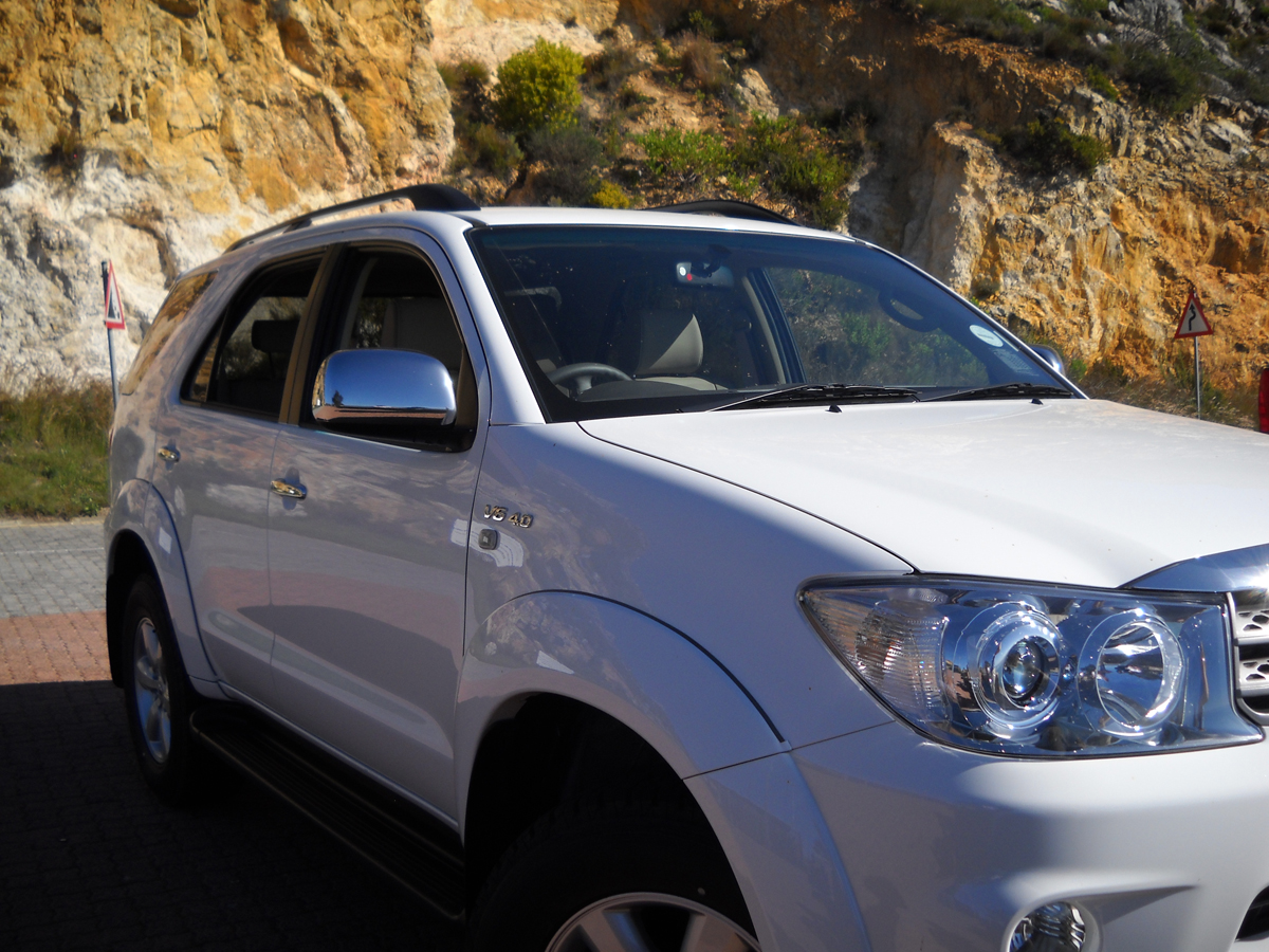 Hermanus Whale Festival