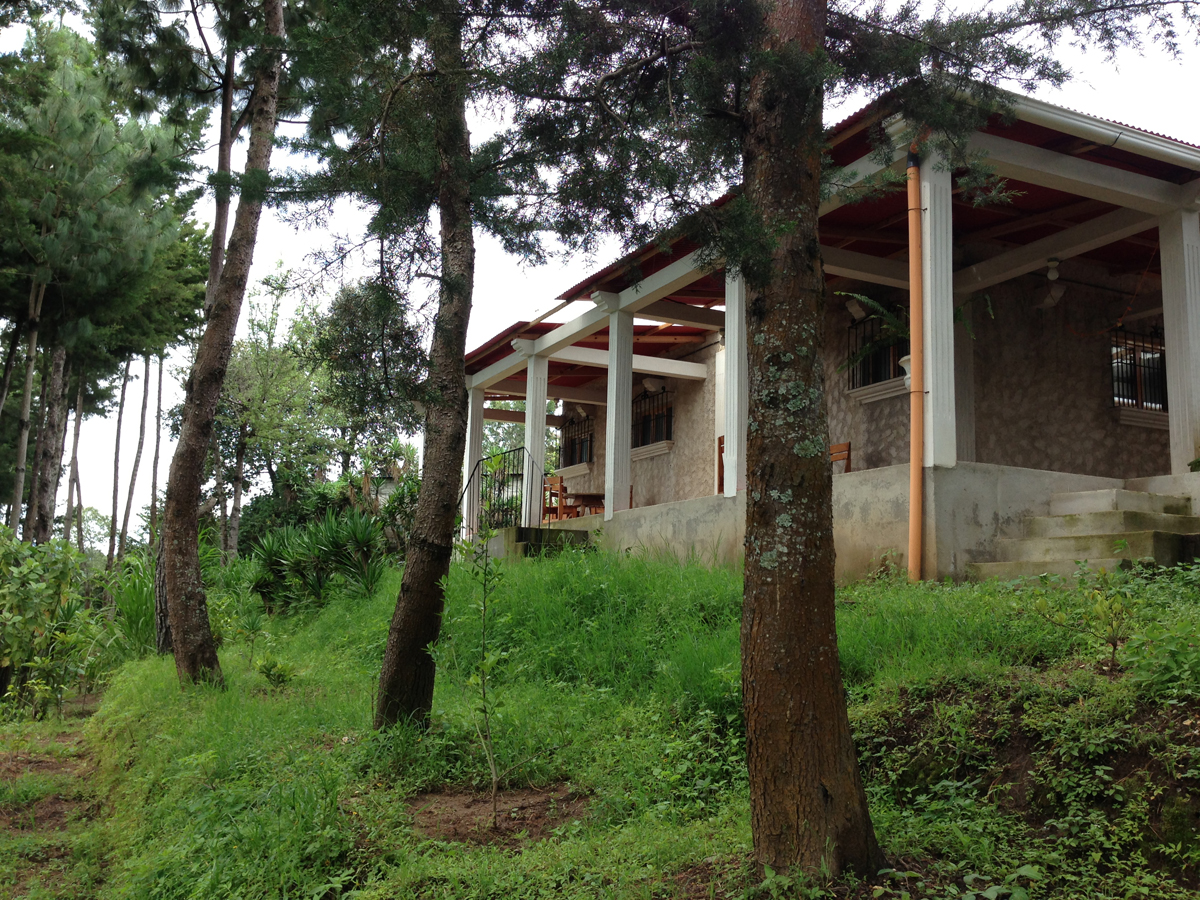 Volcanoes & Coffee Trees
