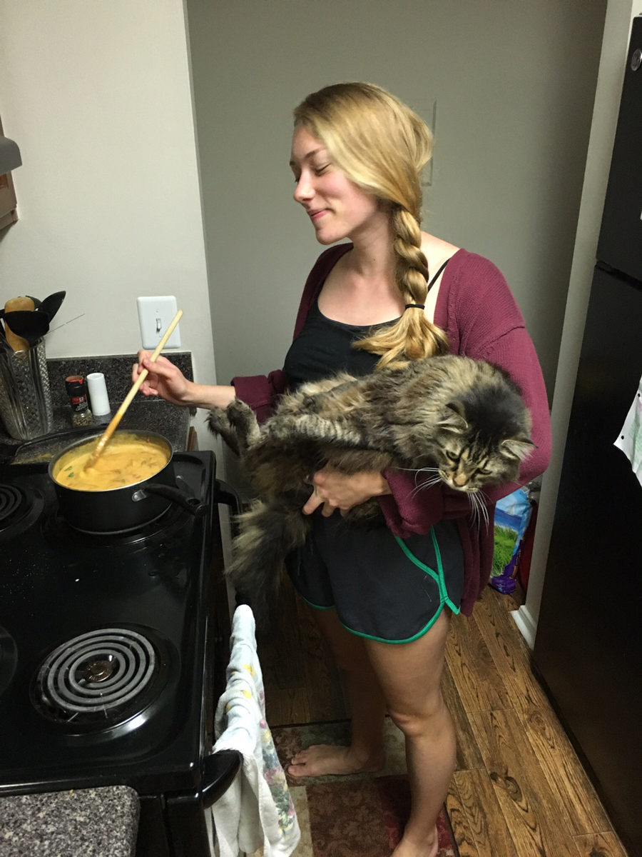 This Briefly Becomes a Food Blog