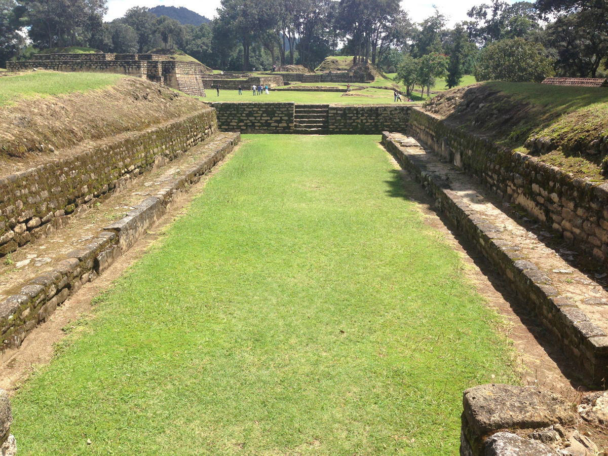 Update on Our New Reality