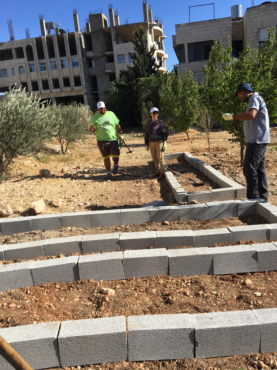 The Separation Barrier