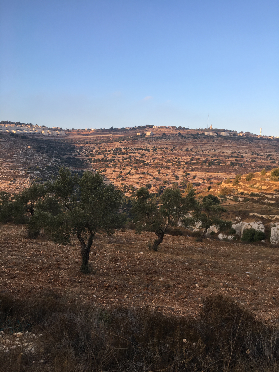 Festival, Food, and Hiking