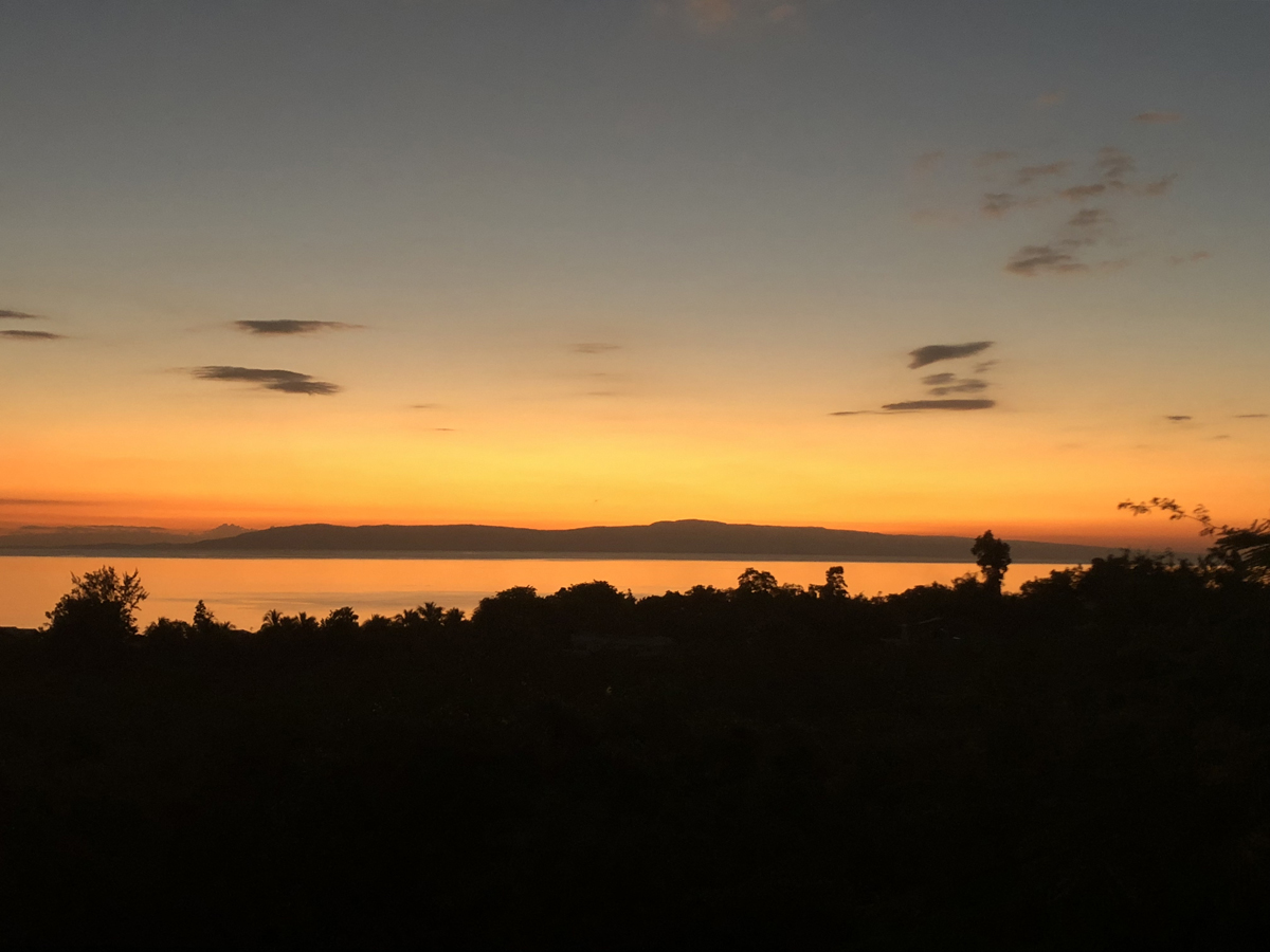 L’Union Fait La Force: Unity Makes Strength