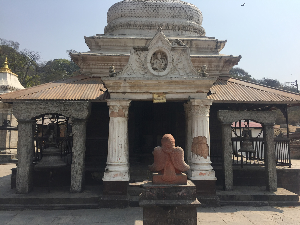 Week Six | हप्ता छ