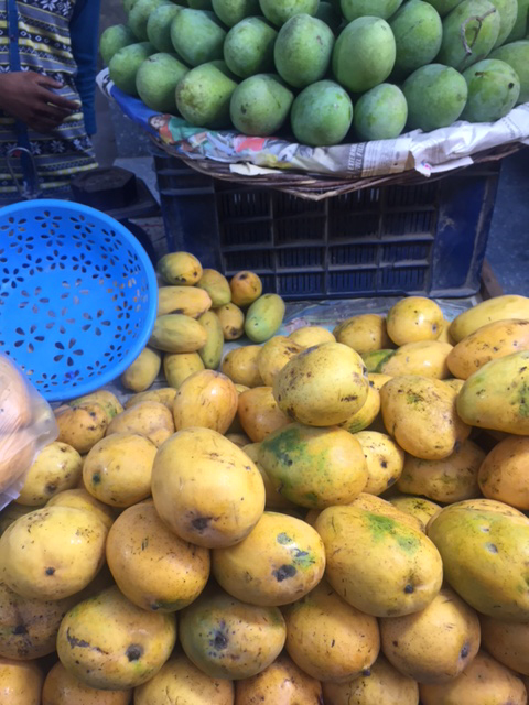 It’s Mango Season