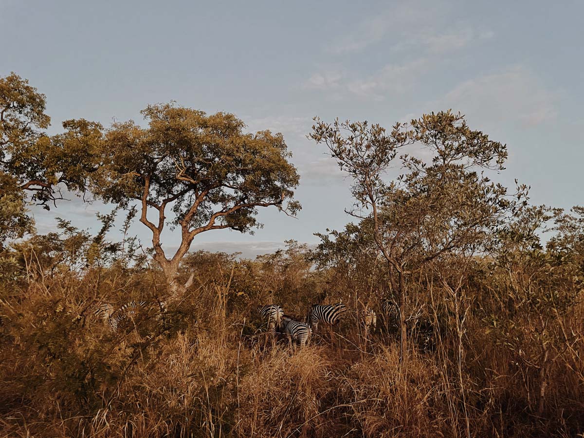 My First Holiday in South Africa!