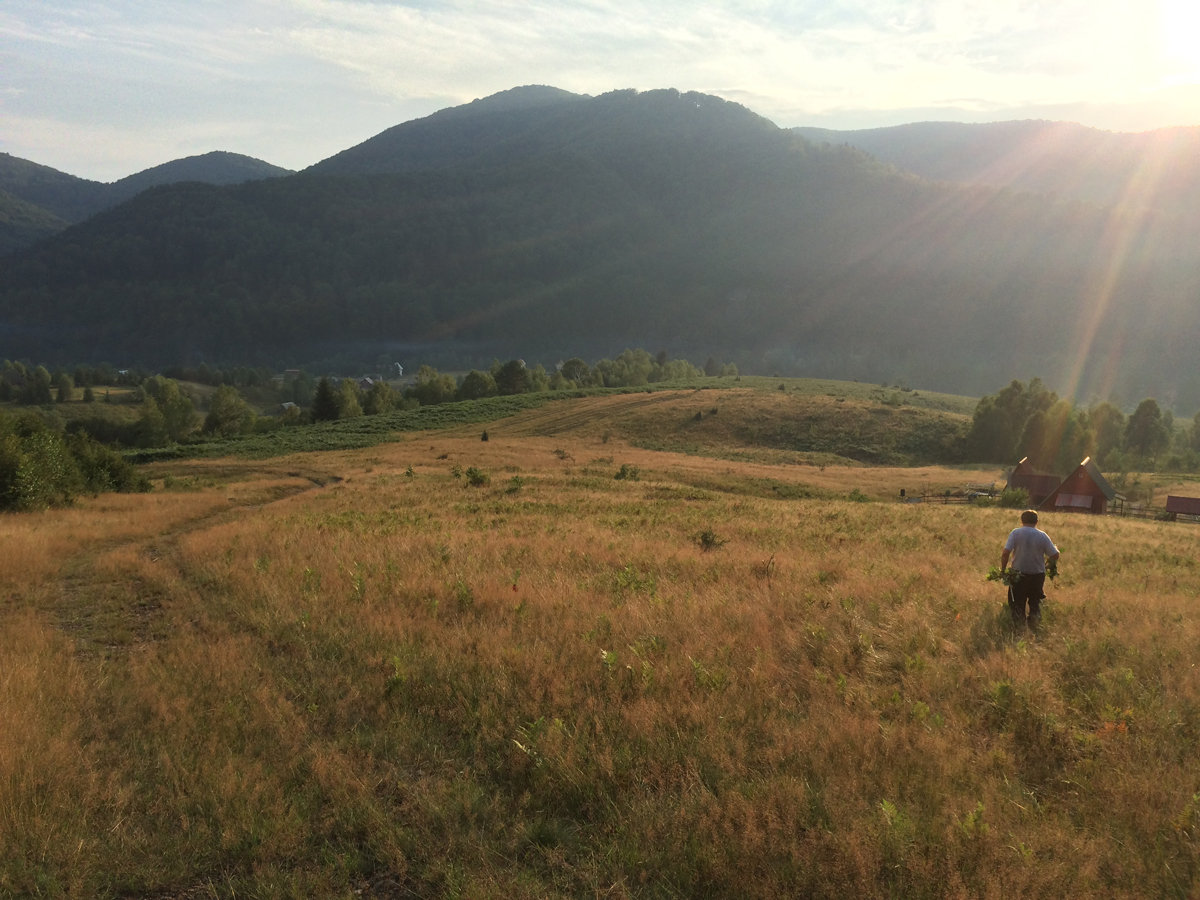 The End. And Now Our Story Begins…