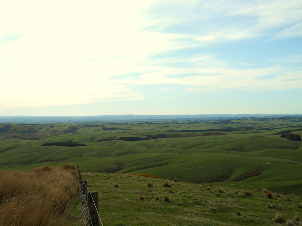 New Boots, New Mind, New Everything