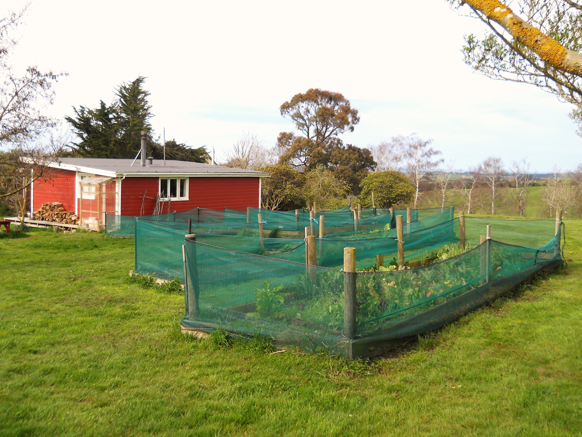 Of Gardening & Rainbows