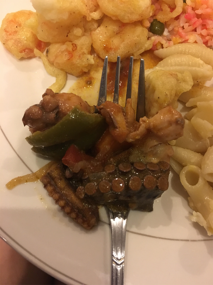 What a Journey so Far!