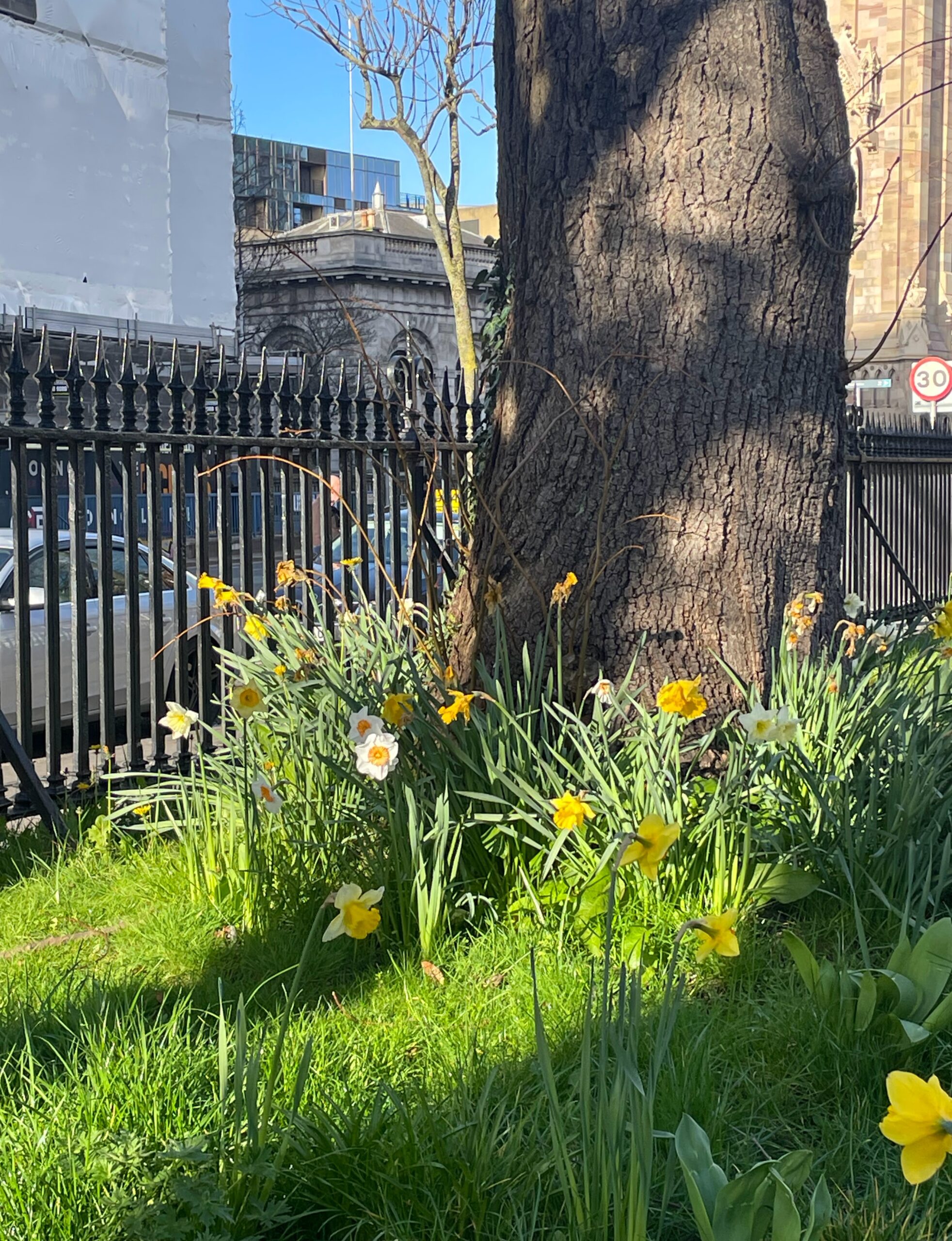 Spring is Reinvention!