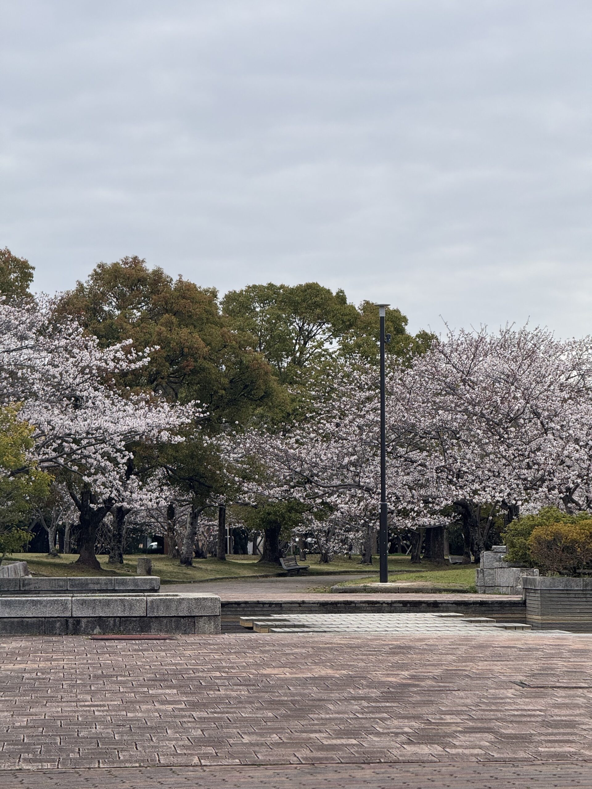 Graduation and Getting Sick