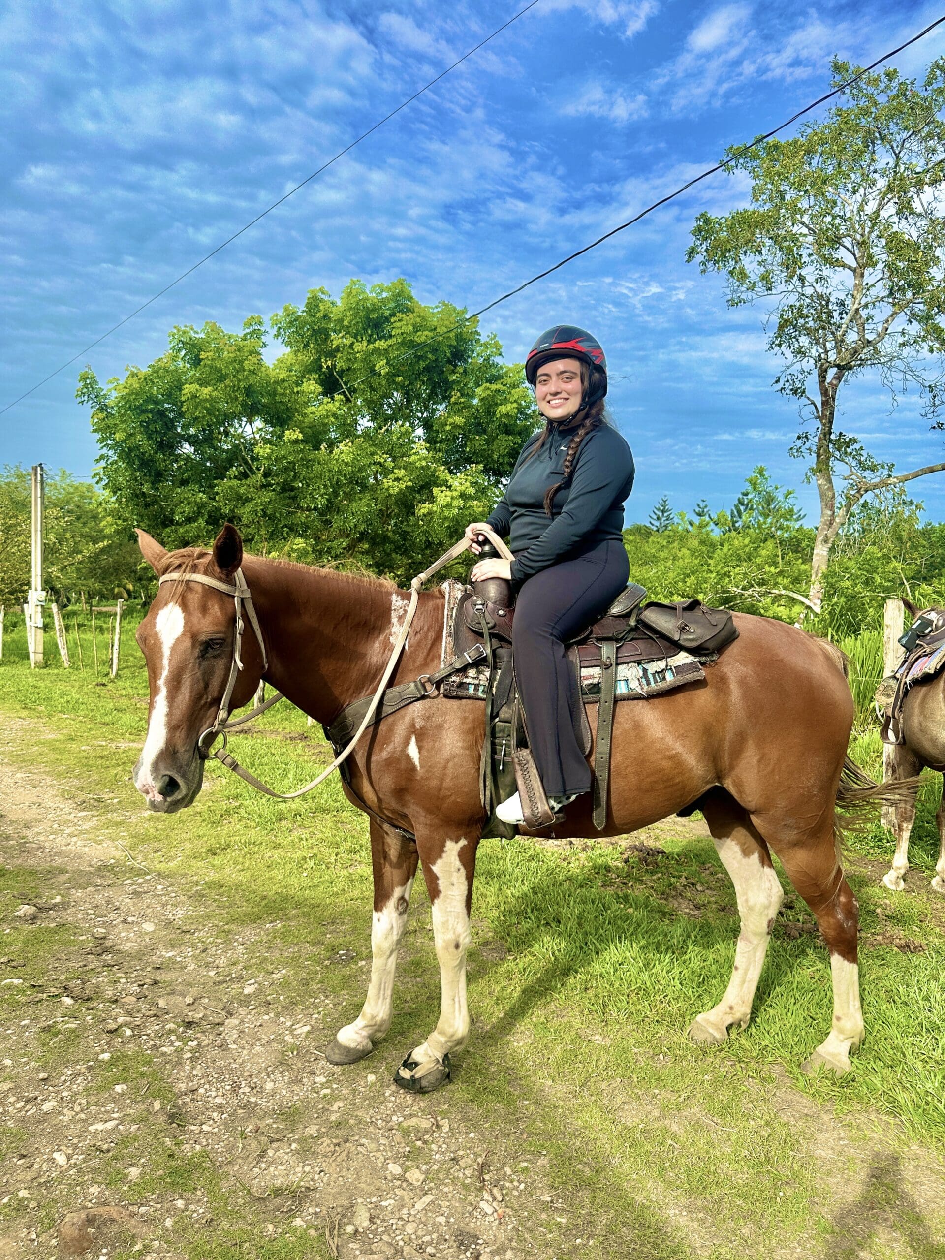 Week 4 and 5 – Outbreaks and Horses