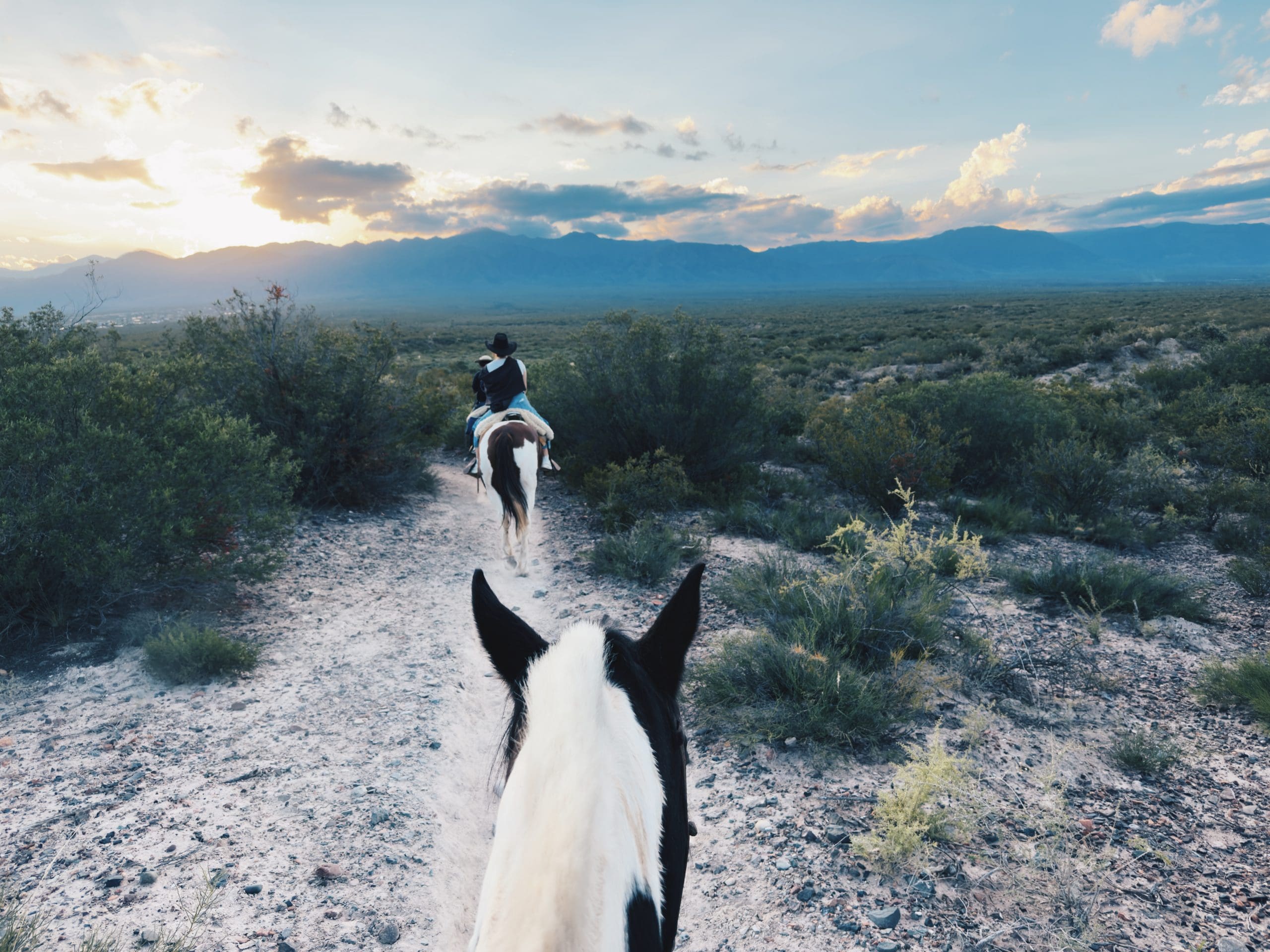 A Beautiful Melting Pot Of Cultures