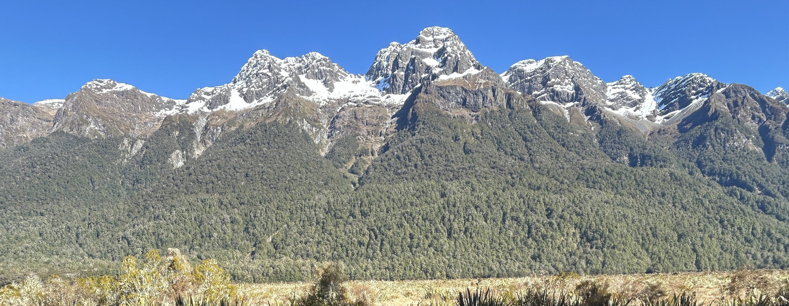 Adventuring Through Aotearoa